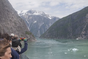 315-9546 Tracy Arm Fjord